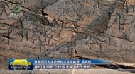 侯光良：把课堂搬到旷野 把论文写在高原