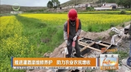 推进灌溉渠维修养护 助力农业农民增收