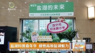 盐湖科普嘉年华 感悟高原盐湖魅力