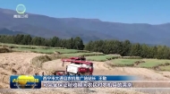 大通：抢抓农时有序推进秋收工作