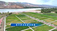 今日青海 20260923 黄河岸边的碧水答卷