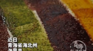 中秋限定纯享版 沉浸式做青海大月饼