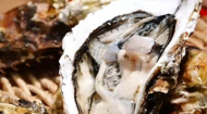 秋季这4种海产 如何吃得健康又美味？