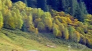 看层林尽染 在互助北龙山邂逅最美秋景