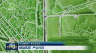 大美短视频·这就是青海 绿动高原 产业兴旺