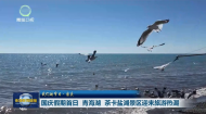 我们的节日·国庆 国庆假期首日 青海湖 茶卡盐湖景区迎来旅游热潮