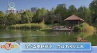 湟水湿地秋意浓 假日休闲好去处