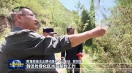青海构建抗旱造林技术体系 为国土绿化提供有力支撑