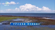 今日青海 20261009 守护大美高原 绿色赋能振兴