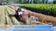 小秸秆激活绿色农业新活力