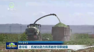 德令哈：机械化助力优质越冬饲草储备