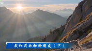今日青海 20261015 我和我的动物朋友（下）