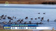 晚间播报 20261017