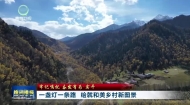晚间播报 20261019