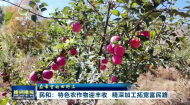 晚间播报 20261018