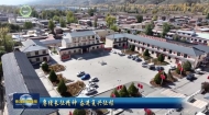 海东：长征精神薪火传 红色双树焕新颜