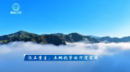 今日青海 20261021 沃土重生：土地托管的河湟实践