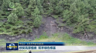 祁连山：生态守护的青海答卷 修复高原植被 筑牢绿色根基