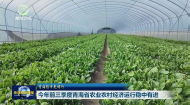 青海经济光明行 今年前三季度青海省农业农村经济运行稳中有进