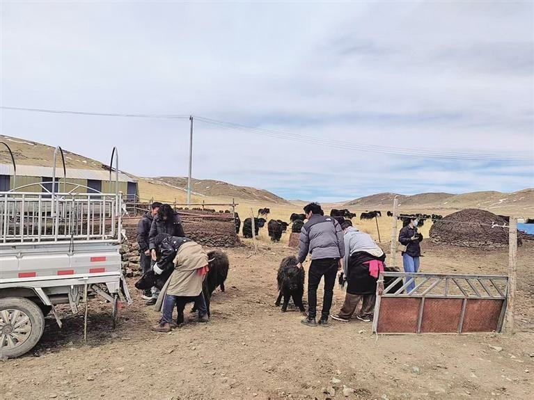 执行现场 图片由黄南州中级人民法院提供