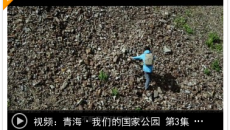 青海·我们的国家公园 第3集 峡谷（下）