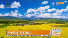 大美青海 梦幻海北