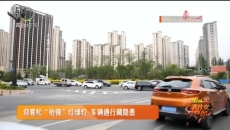 迎客松“抢镜”红绿灯 车辆通行藏隐患