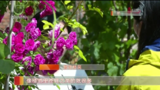 猪舍迁离原址 扰民问题解决