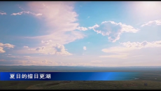 夏日的措日更湖