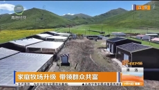 家庭牧场升级 带领群众共富