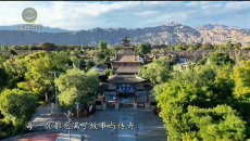 【乡关此处】贵德河阴 古韵今风（下）