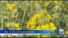 黄南：多元发力促农牧业经济稳健增长