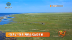 1时间帮女郎 20250807