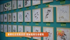 暑期社会实践活动 探秘高原生命密码