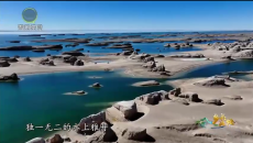 乡关此处 锡舞柴旦 向绿而行(上）
