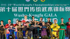 第十届世界传统武术锦标赛落幕