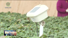 晚间播报 20251024