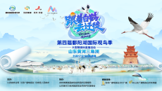 《跟着白鹤去迁徙》大型融媒体活动