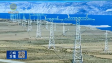 晚间播报 20251114