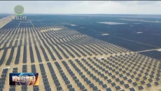 晚间播报 20251115