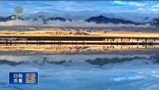 晚间播报 20251118