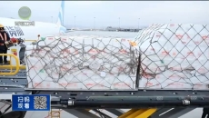 晚间播报 20251121