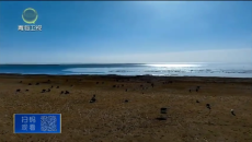 晚间播报 20251129