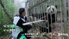《熊猫奇遇记》（第一季）第3集