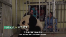 《熊猫奇遇记》（第一季）第5集