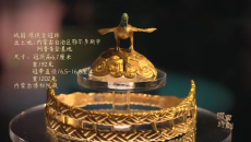 《国宝时刻》第42集：鹰顶金冠饰