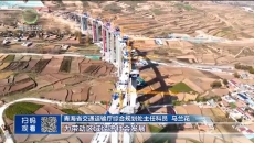 晚间播报 20251208