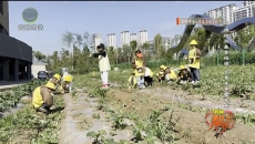 1时间帮女郎 20251218