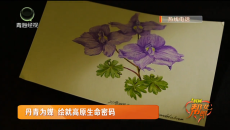 丹青为媒 绘就高原生命密码