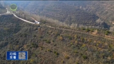 晚间播报 20251219